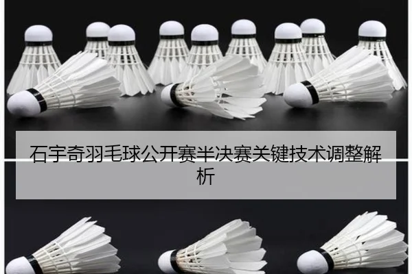 shi-yu-qi-yu-mao-qiu-gong-kai-sai-ban-jue-sai-guan-jian-ji-shu-tiao-zheng-jie-xi-2-122.jpg